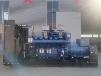 1600 Diesel van kW Industriële Generators voor Industriële Reservevoeding