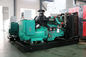 400 Diesel van de de Omschakelaarsgenerator 500kva van kW Stille Generator voor Stabiele Voeding