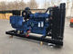 Blauwe 200kw-Diesel Generator Leroy Somer Alternator Electric Generating Set