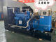 Diesel van de de Waterkoelingsgenerator UL van 100 kW Kleine Generator 12 Maanden Garantie